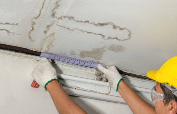 Reliable Water Damage Repair contractor in Gallagher, WV by Hirex Water Damage